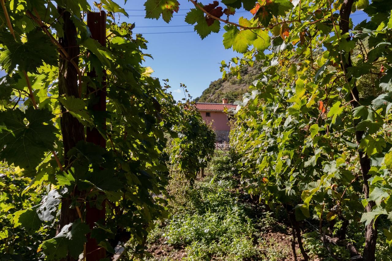 Апартаменты Apartment Sjekloca Вирпазар