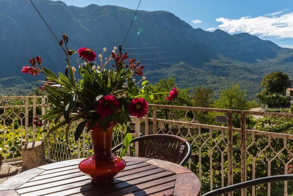 Апартаменты Apartment Sjekloca Вирпазар