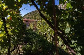 Апартаменты Apartment Sjekloca Вирпазар Апартаменты-10