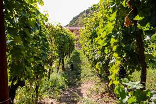 Апартаменты Apartment Sjekloca Вирпазар Апартаменты-23