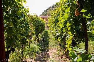 Апартаменты Apartment Sjekloca Вирпазар Апартаменты-29