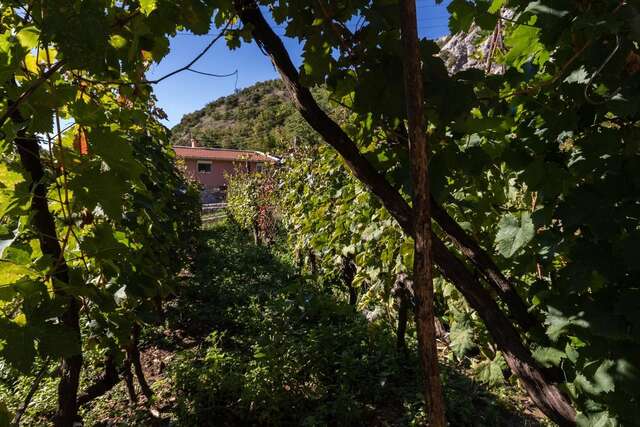 Апартаменты Apartment Sjekloca Вирпазар-12