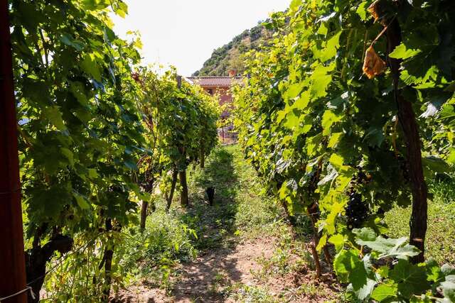 Апартаменты Apartment Sjekloca Вирпазар-25