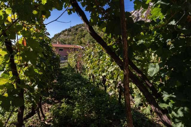 Апартаменты Apartment Sjekloca Вирпазар-37