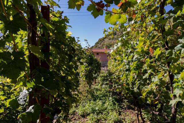 Апартаменты Apartment Sjekloca Вирпазар-45